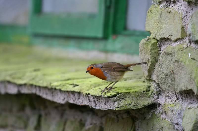 IMAGE: http://i123.photobucket.com/albums/o288/willyb_photo/100-4.jpg