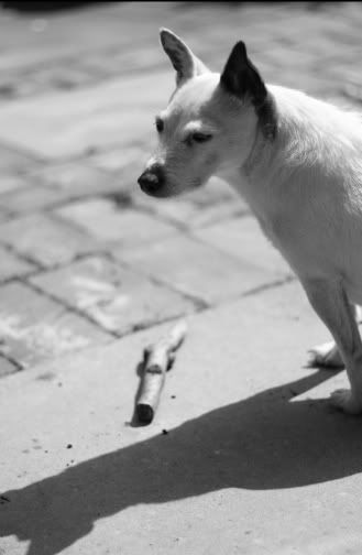 IMAGE: http://i123.photobucket.com/albums/o288/willyb_photo/IMG_8407.jpg