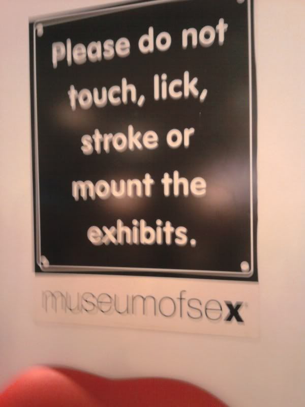Rules of museum,museum of sex,NYC