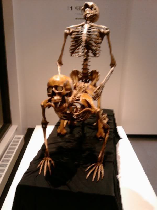 bones,exhibit,doggy style,museum of sex,art,NYC