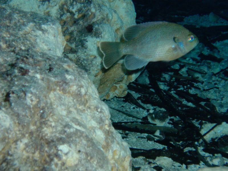 DSCF0540.jpg