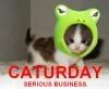 bam Pictures, Images and Photos