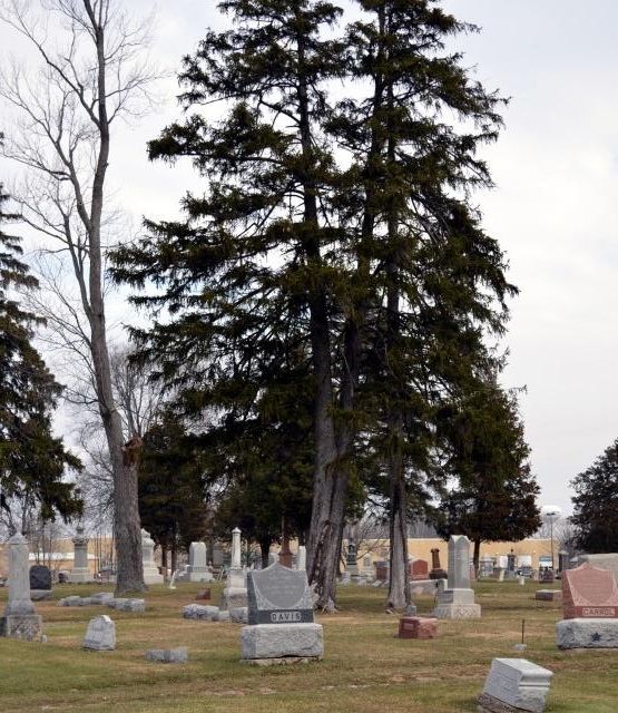  photo 048df7a8-a1b3-4e0d-b263-1164abd0850c_zpsdf807c93.jpg