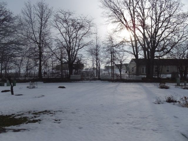 311 photo 3-11_zps74b33ec1.jpg