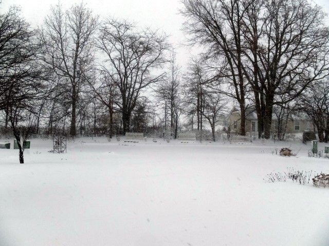 312 photo 3-12_zpsb55b80fb.jpg