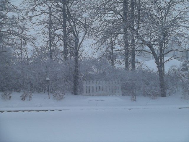  photo 330_zps9682b397.jpg