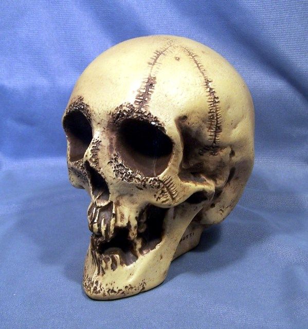 Randotti 817 photo 817a_zpsebdb8a3f.jpg