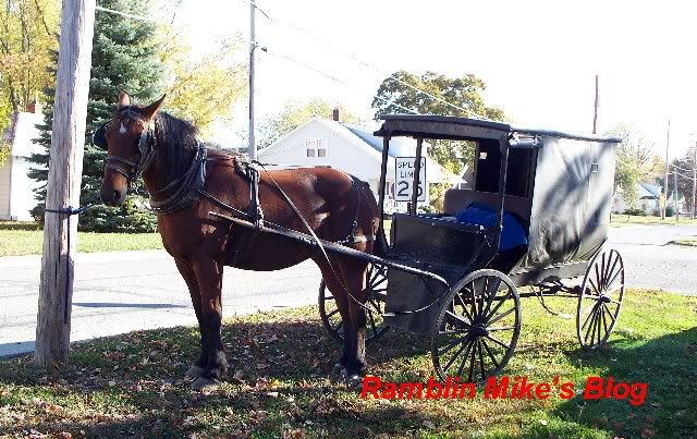 amish