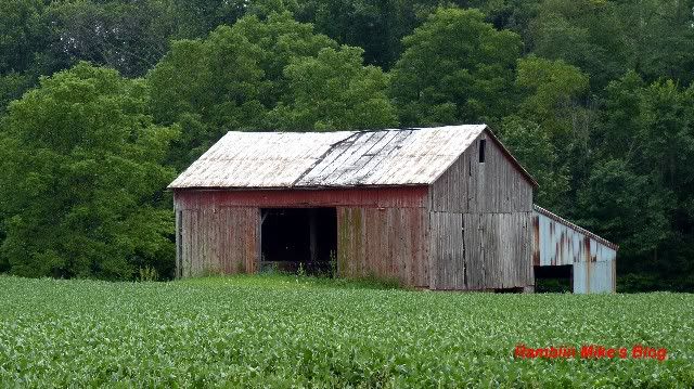 barn1