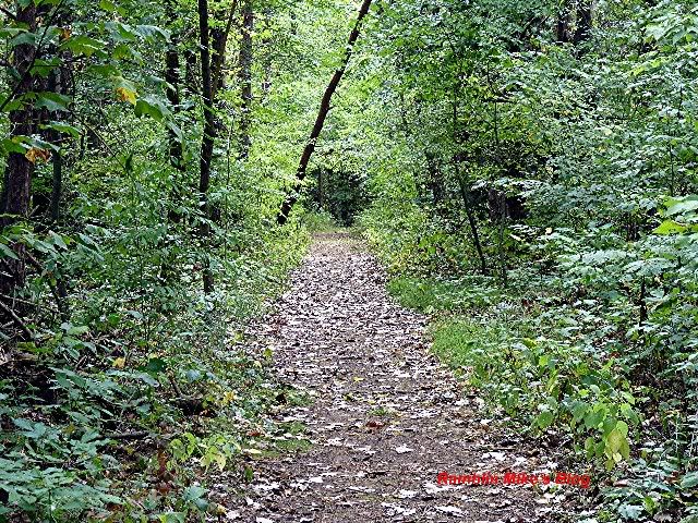 path