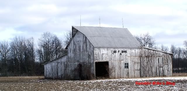 Lonely white barn
