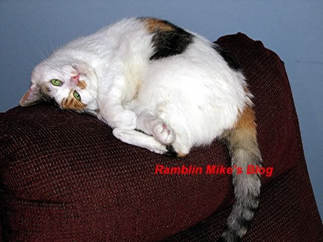 patches 8-9-07