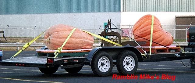 Pumpkins