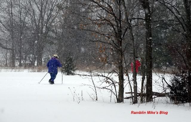 Skiers