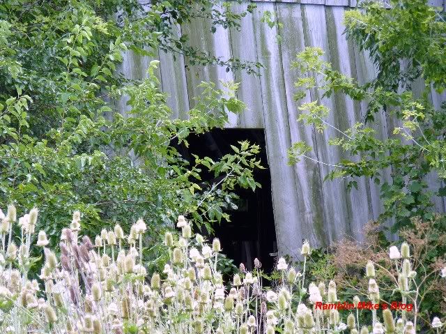 barn door