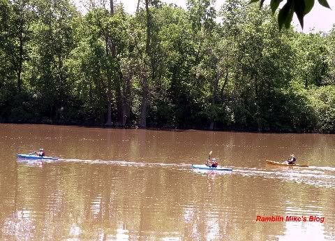 canoes in Maumee