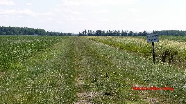 grass road