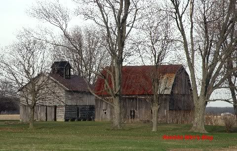 Farm Buildings