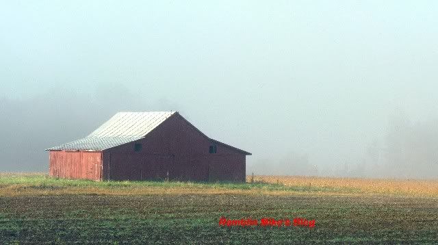 foggy barn