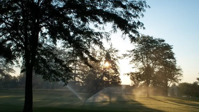 irrigation at sunrise