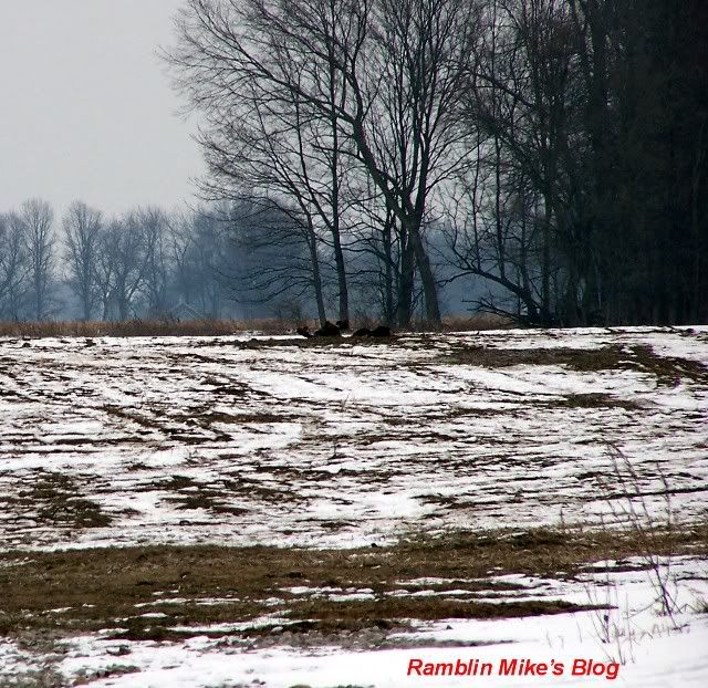 natural gas wellhead