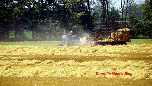 straw balin