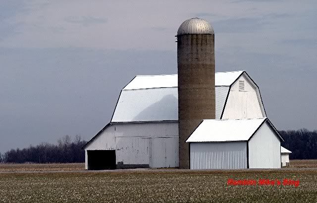 White Barns