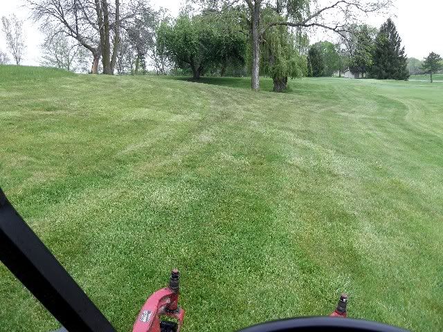 Grass