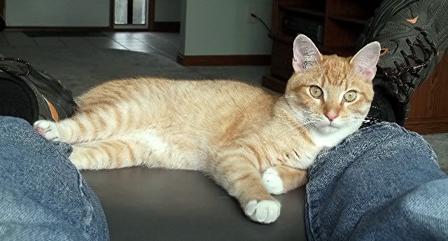 Simon A