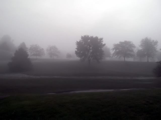 tues fog