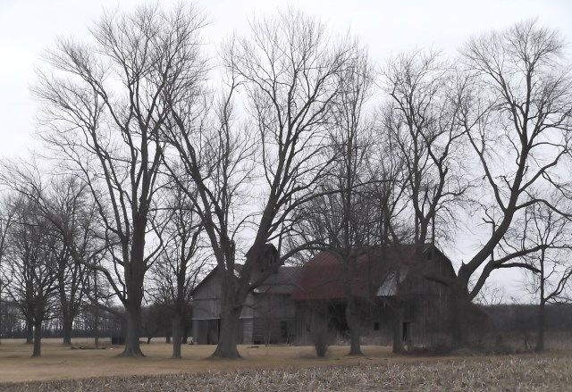 barn photo barn-2_zps06a8af8d.jpg