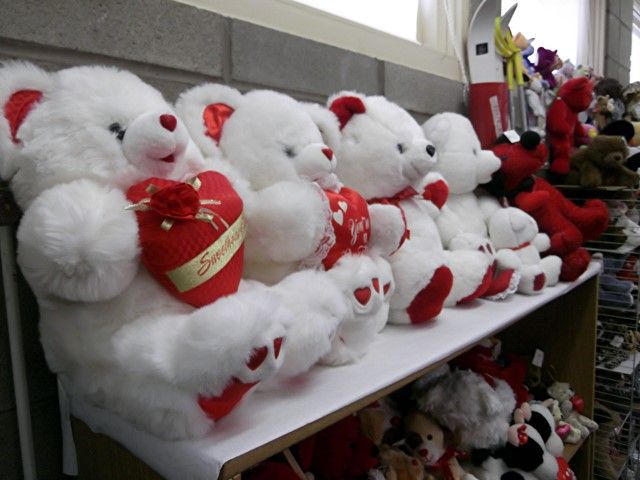 Bear 1 photo bear2_zps58e6787a.jpg