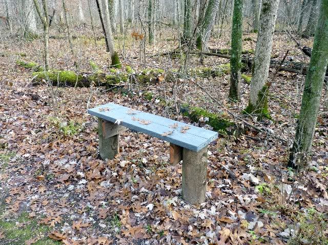 bench