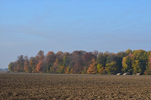 1030e photo br5_zps3dba532b.jpg