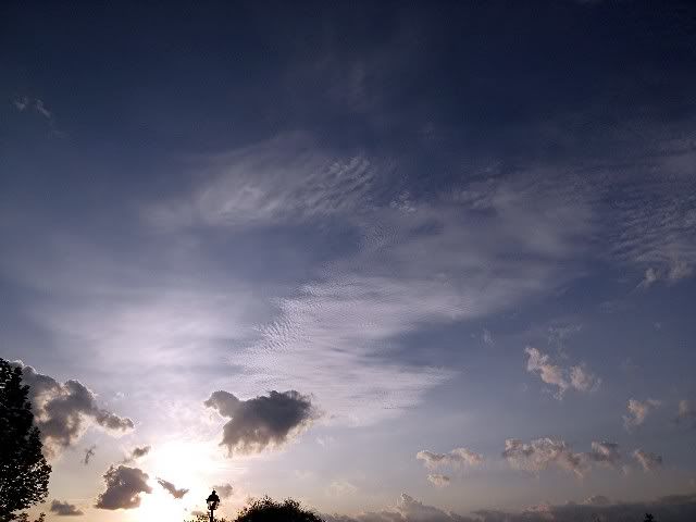 cirrus