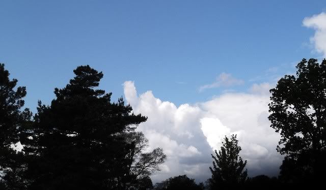 cloud