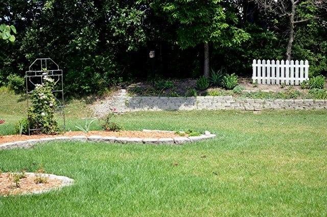 dry yard photo dryyard_zps77c13ef5.jpg