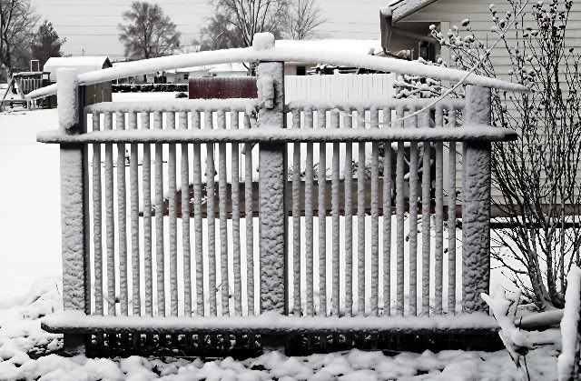 fence