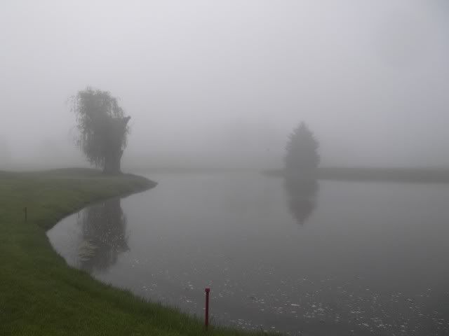 fog1