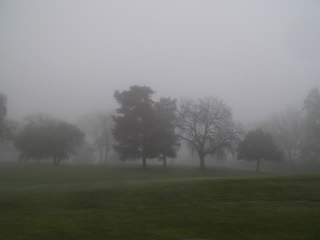 fog2