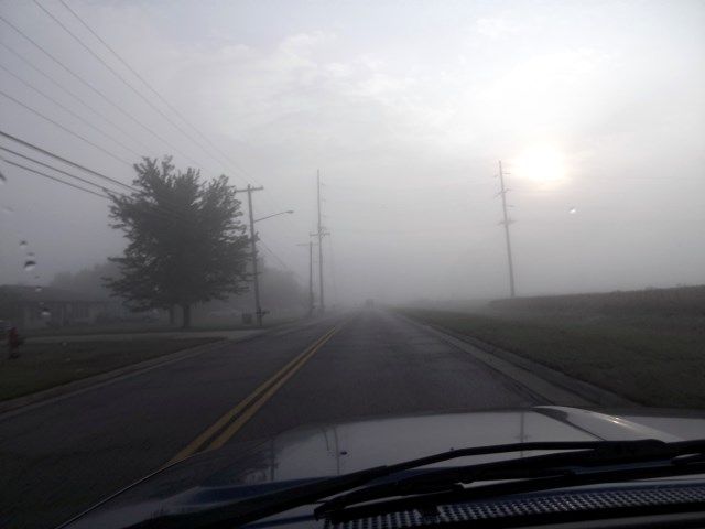 fogs photo fogs_zpsbcab6c87.jpg