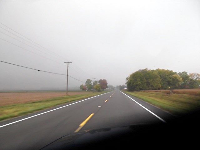 foggs photo fogss_zpsd6a2bb23.jpg