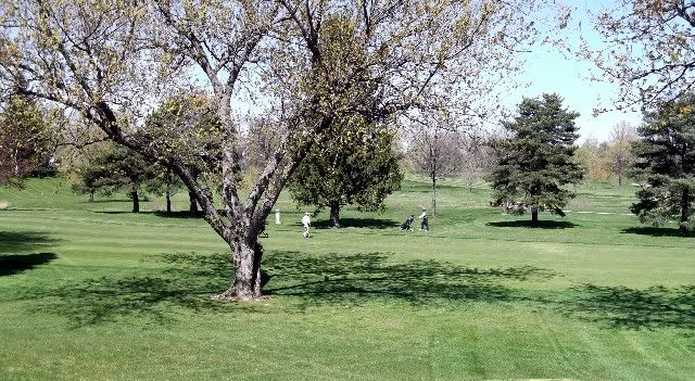 golfers