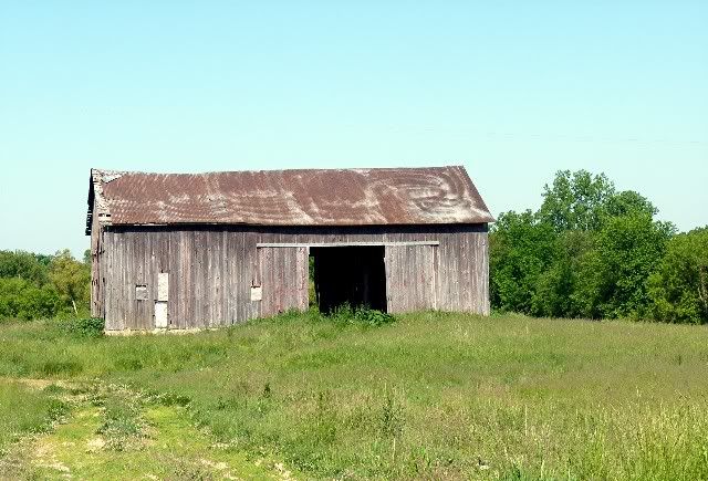 grassy barn
