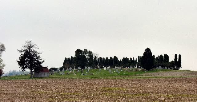 grave yard