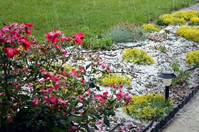  photo hailc_zps50d25168.jpg