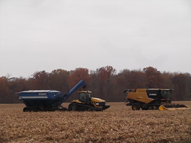 haarv photo harv_zps3859963d.jpg