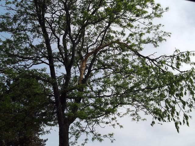 lightning