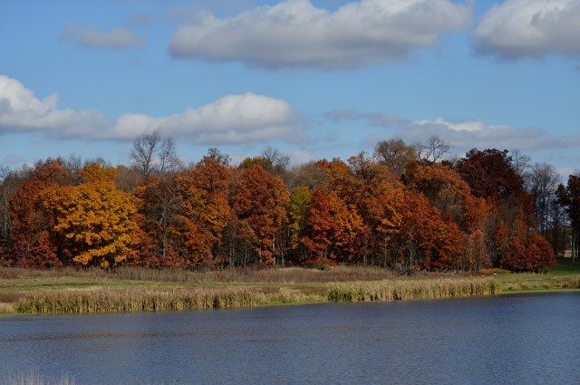 pon photo pondxx_zps1393d792.jpg