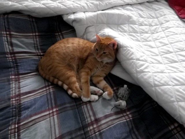  photo sc_zps6ca38dd7.jpg